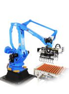 Automated Bagging Systems