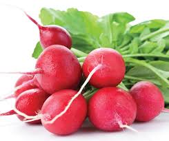 Radishes