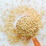 Sorghum